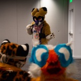 Get Out The Float 2026