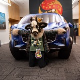 Get Out The Float 2026