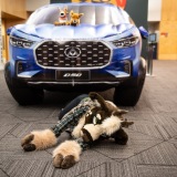 Get Out The Float 2026