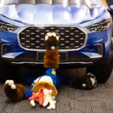 Get Out The Float 2026