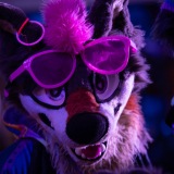 Get Out The Float 2026