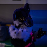 Get Out The Float 2026