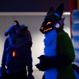 Get Out The Float 2026