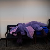 Get Out The Float 2026