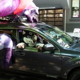 Get Out The Float Pride Parade 2026