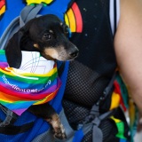 Get Out The Float Pride Parade 2026