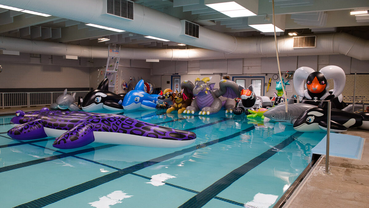 A picture of many pooltoys in Sunset Pool which benefits from our charity.